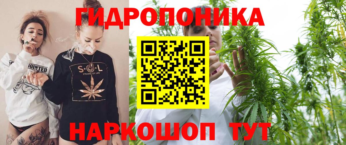 Каннабис SATIVA & INDICA  Вход с VPN  Бошки Шишки семена  Конопля план  Амурск 